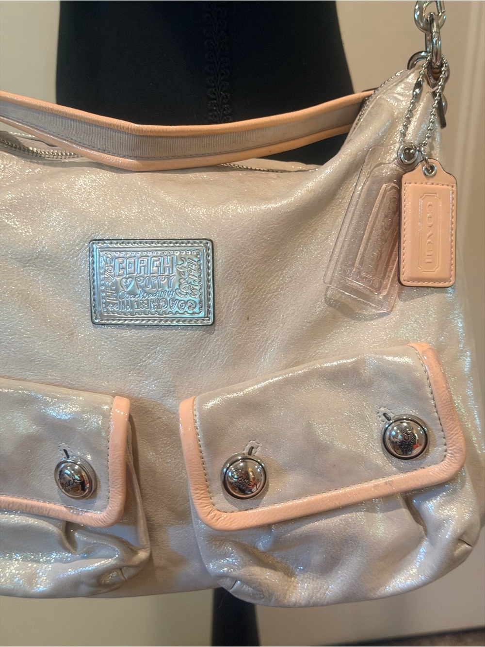 Y2K Coach Poppy Metallic Leather Double front Pocket … - Gem